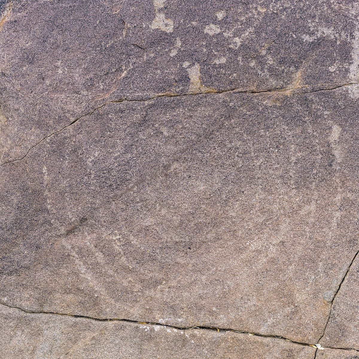 2018 January Petroglyphs 16